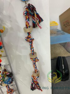 2843  bird toy