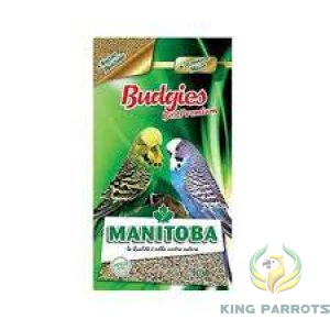 Budgies 1 KG  (MANITOBA)